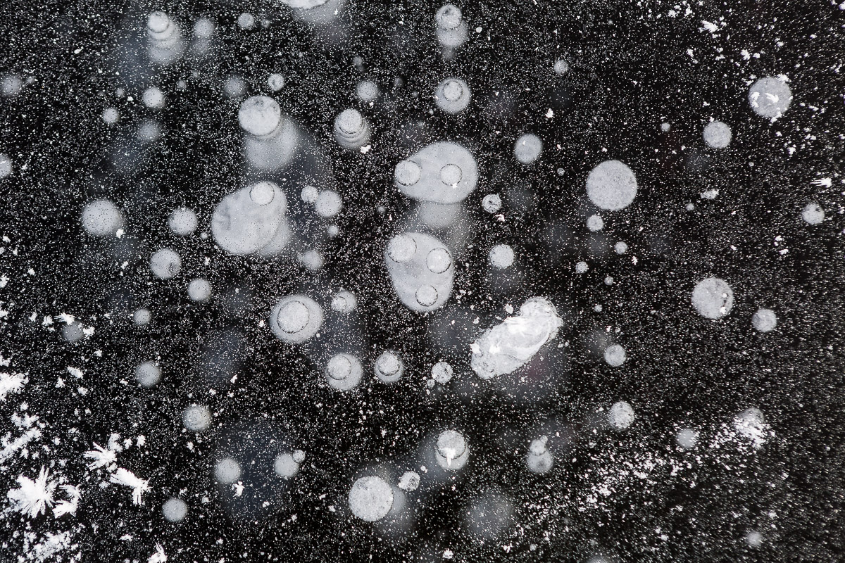 026