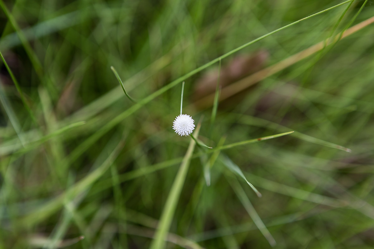 364