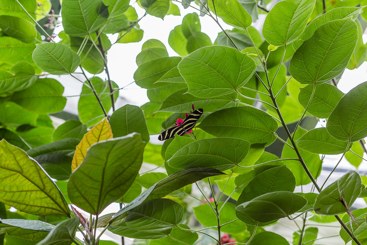 241