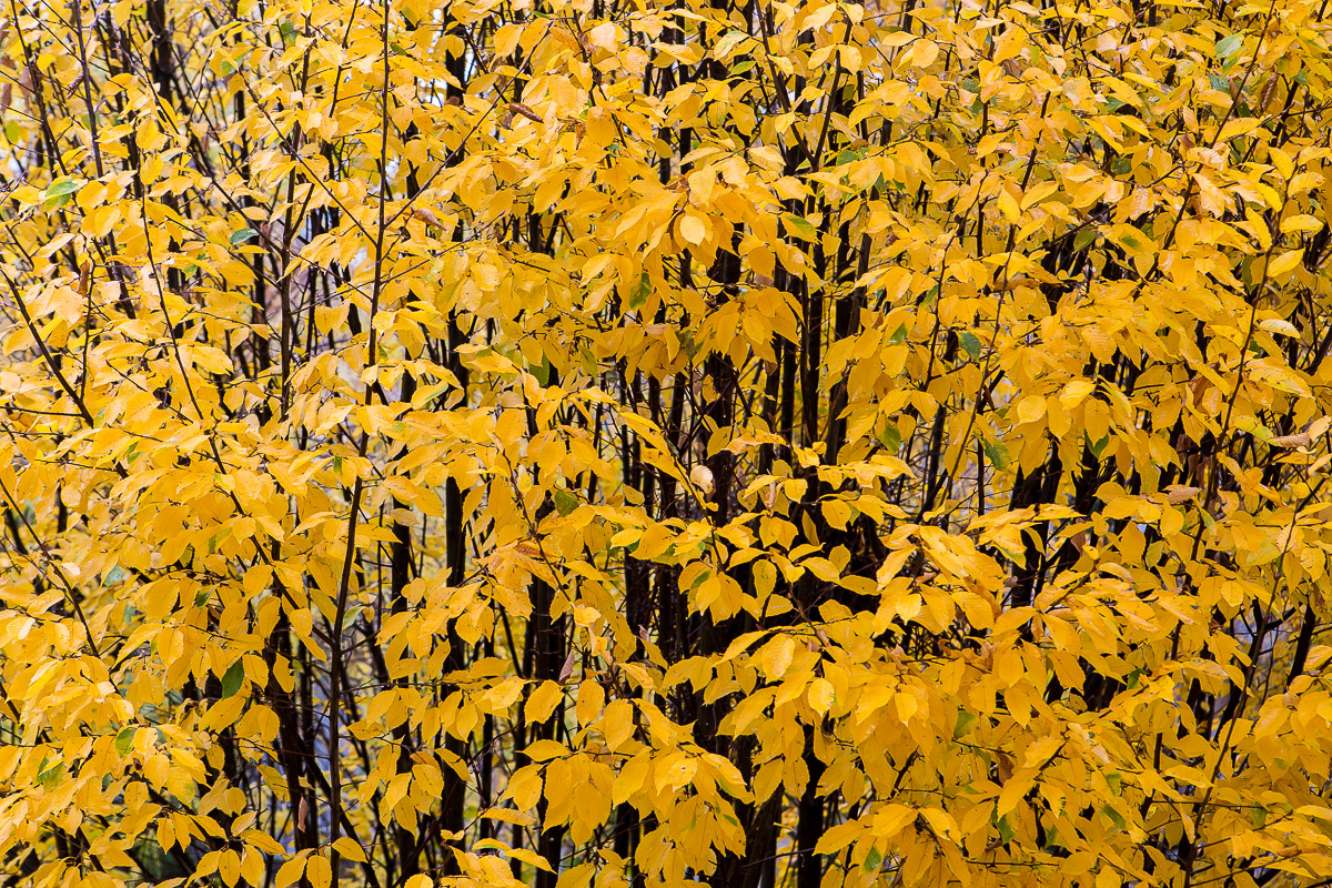 025