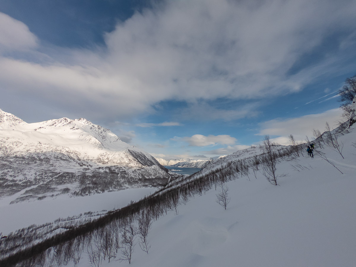 060 029