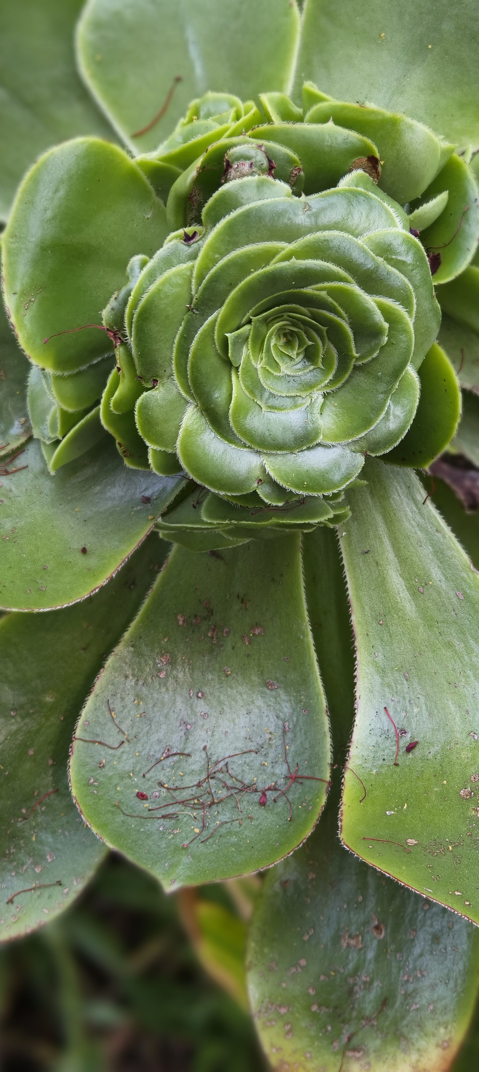 08