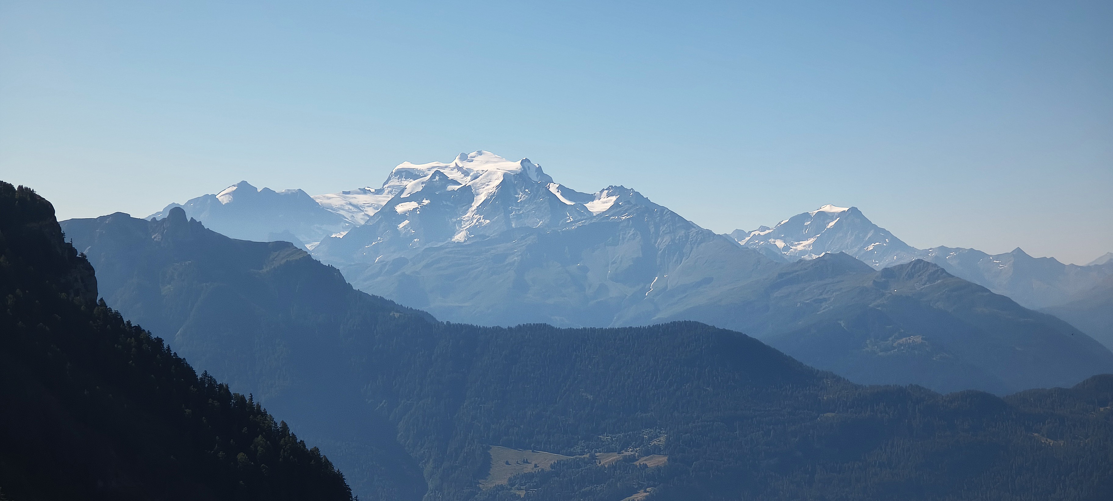 Chavalard