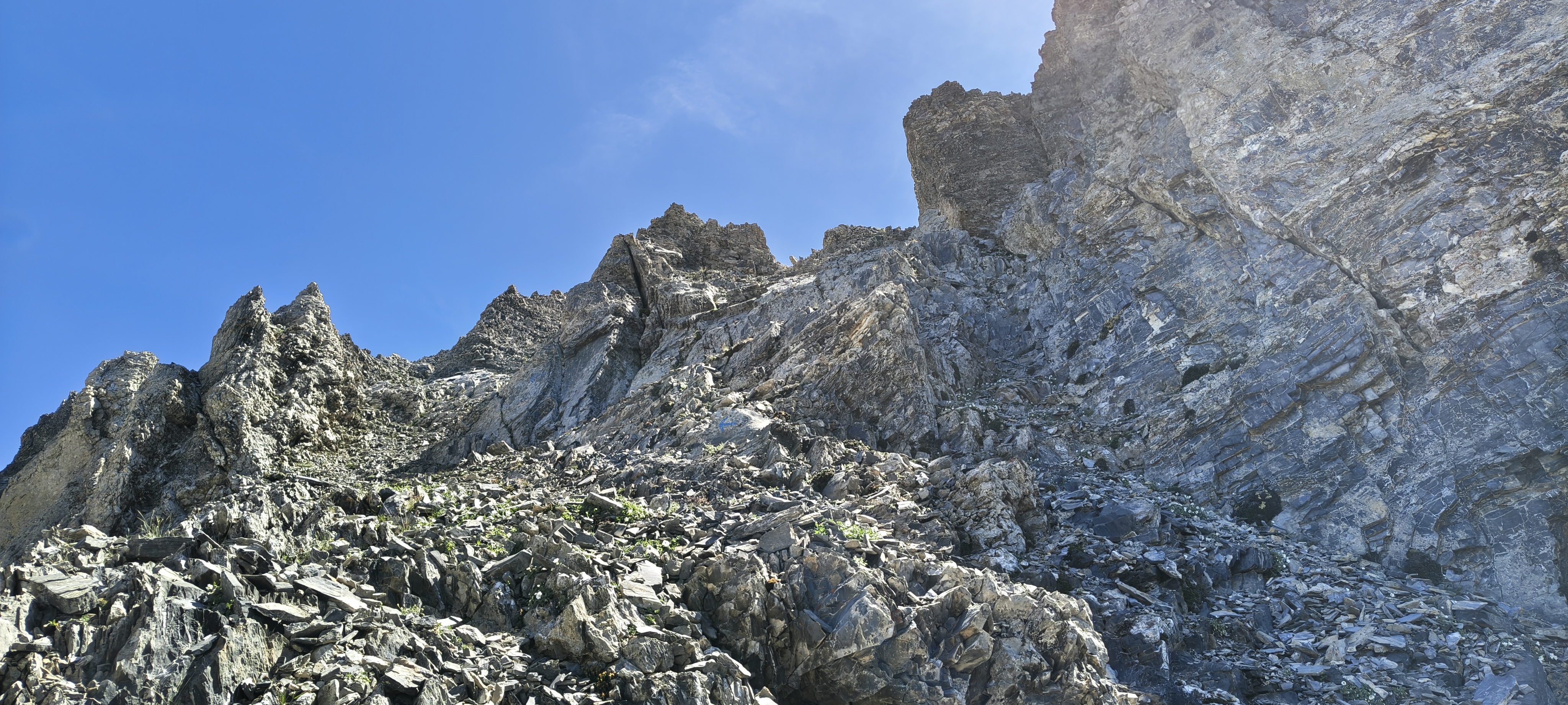 45