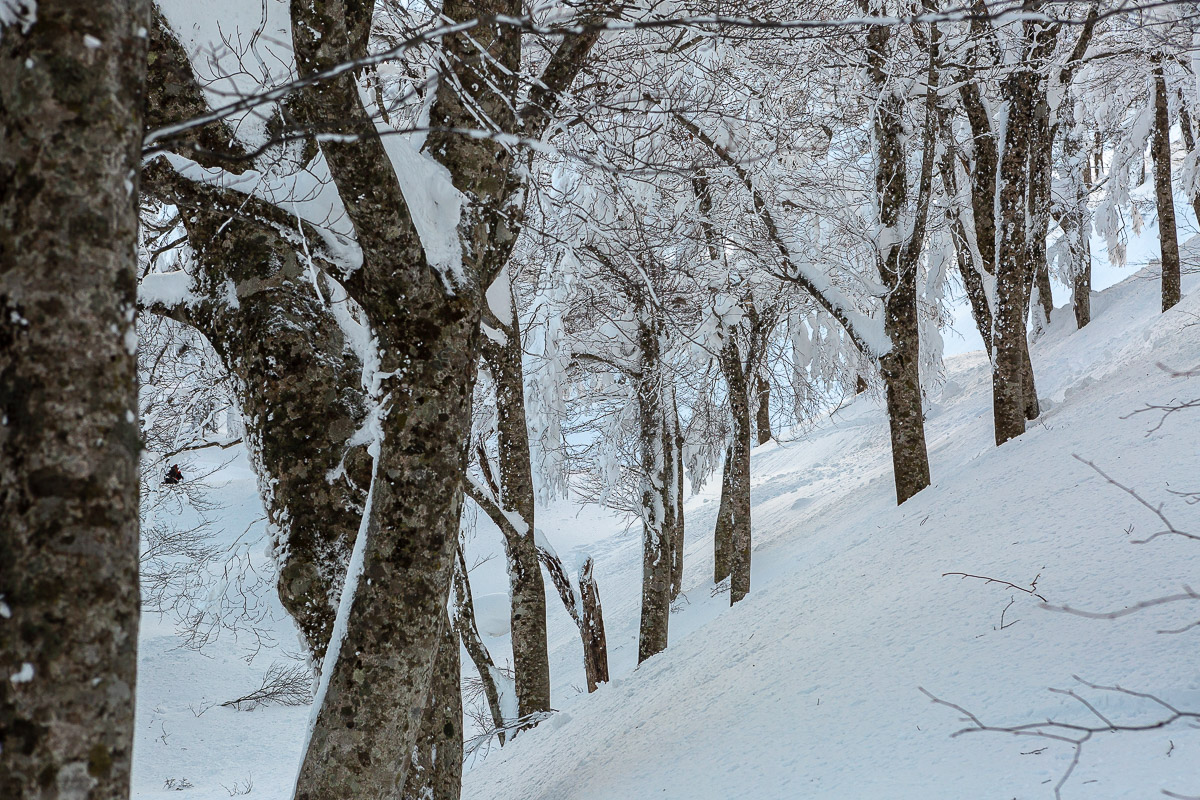 606