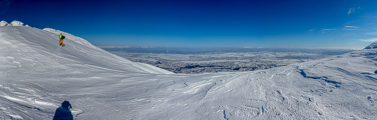 786