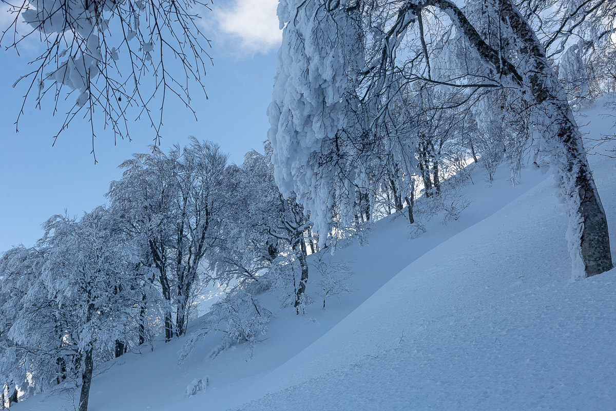 257