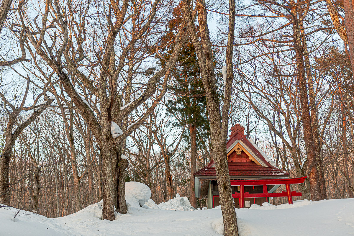 323